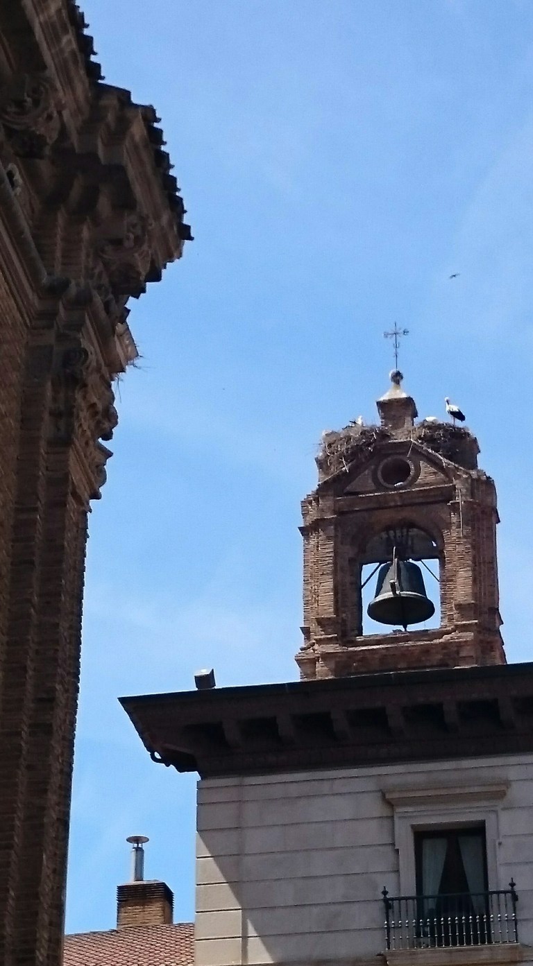 _20150510_175135.JPG image