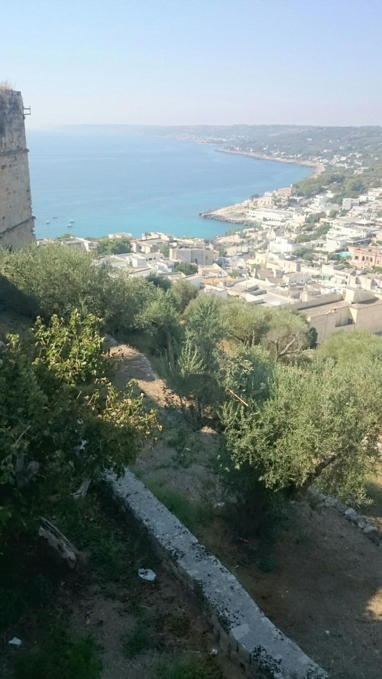 wp-1441223457853 image