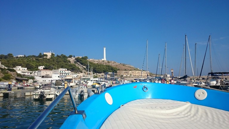 wp-1441223588195 image