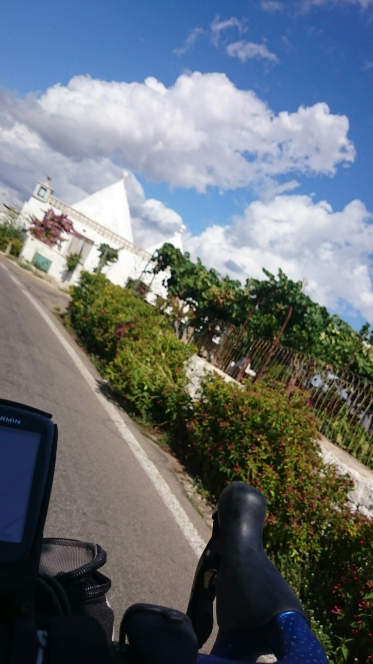 wp-1441815306815 image