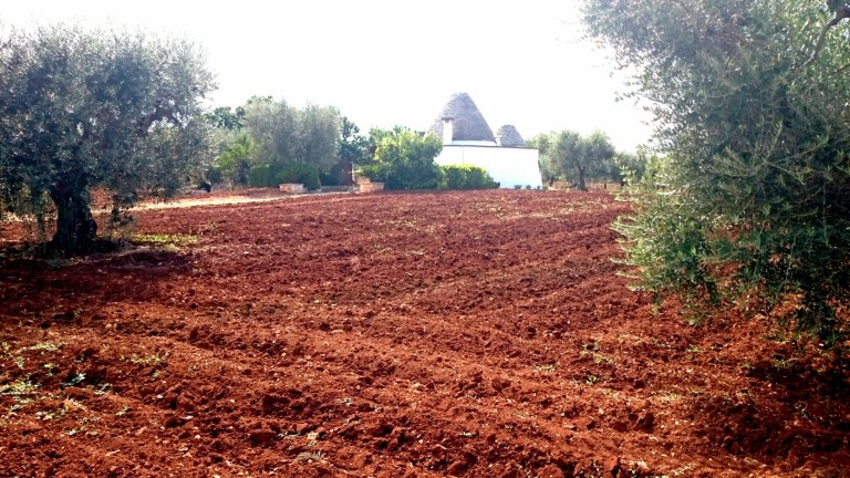 wp-1441815785193 image