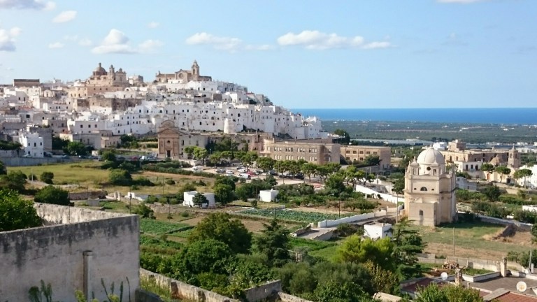 wp-1441815835331 image