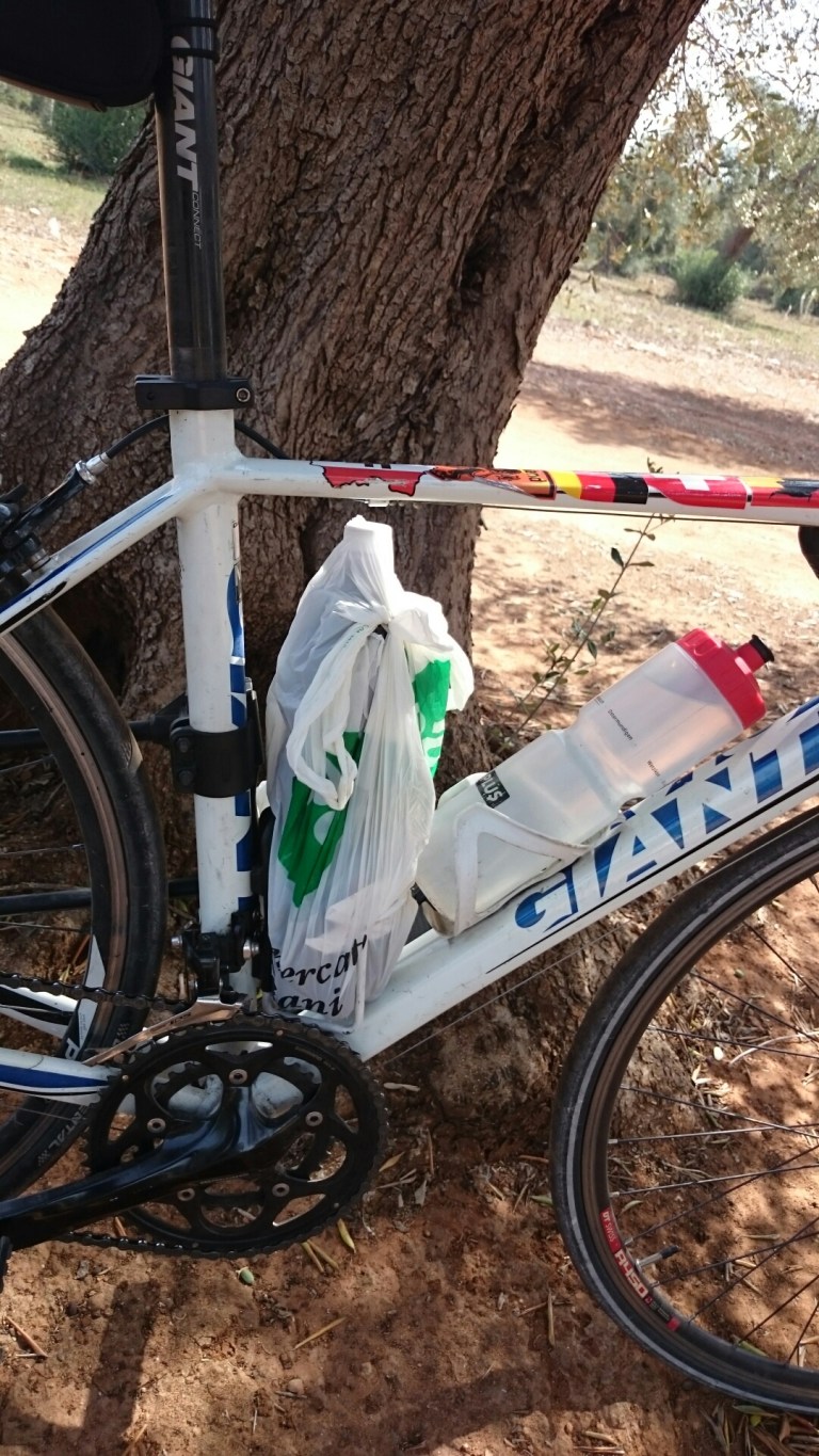 wp-1441815963117 image